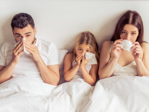 Indoor air quality services in Garland, TX