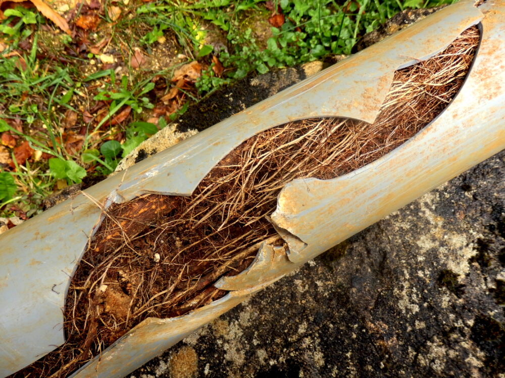 11 Causes of Sewer Pipe Cracks and Breakages | On Time Experts