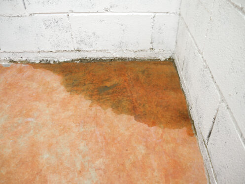 Early Warning Signs of a Slab Leak