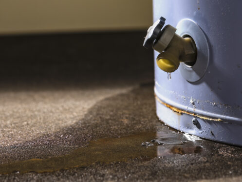 Water heater drain in Garland, TX